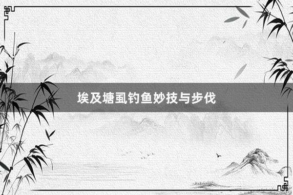 埃及塘虱钓鱼妙技与步伐