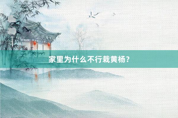 家里为什么不行栽黄杨?