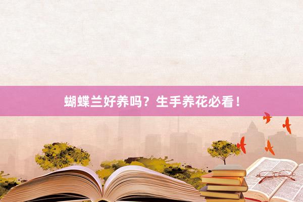 蝴蝶兰好养吗？生手养花必看！